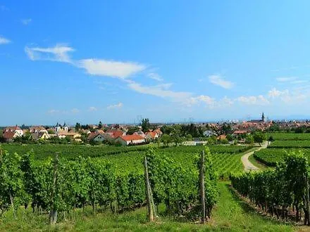 D'hote Divine Providence