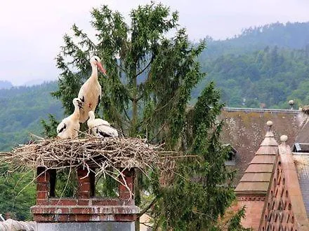 D'hote Divine Providence Bed & Breakfast 3*