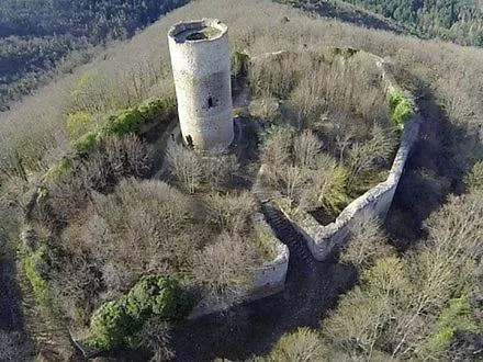 D'hote Divine Providence Bed & Breakfast