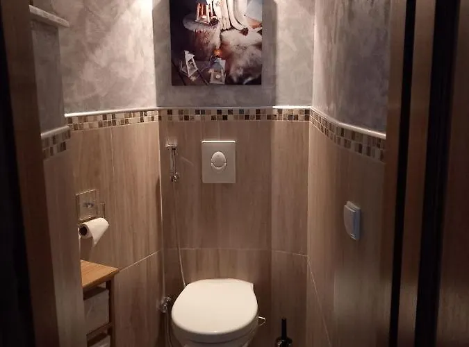 D'hote Divine Providence 3* Wintzenheim