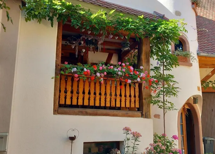 Bed & Breakfast D'hote Divine Providence